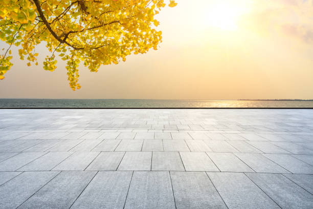 istock Empty floors and river with yellow ginkgo background 1141575129