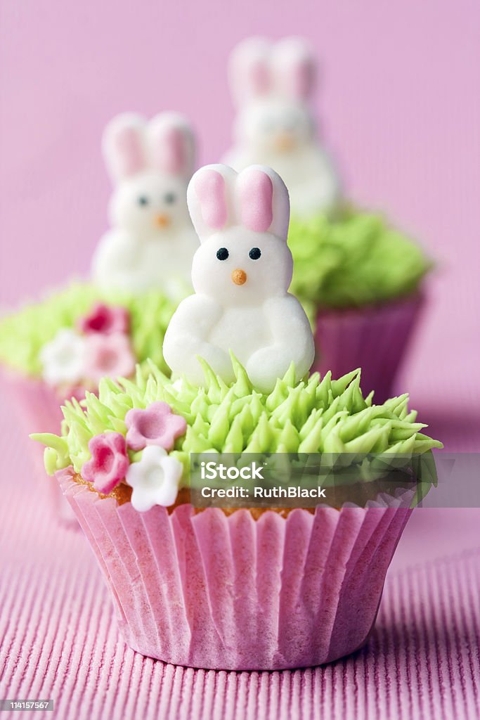 Easter cupcakes  Animal Stock Photo