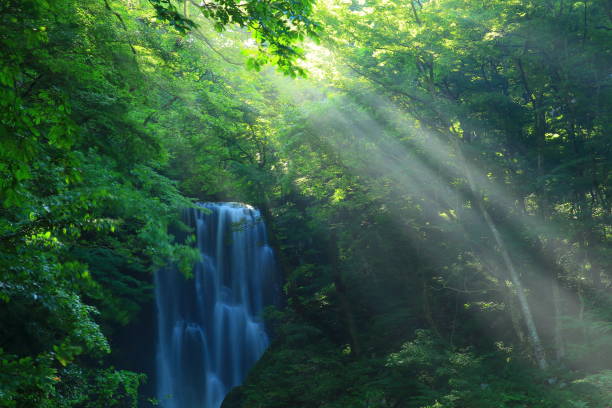 istock Akita Prefecture Summer Waterfall 1141579653