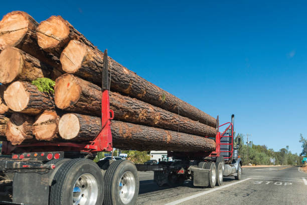 Truck transporting tree trunks on a road intersection. Heavy transportation on a highway