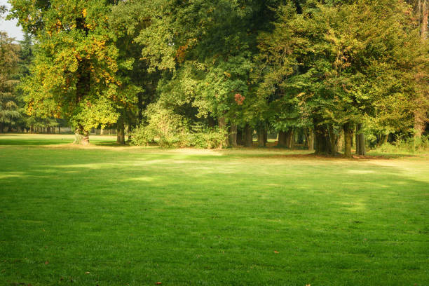 istock Monza park. Italy 1141581327