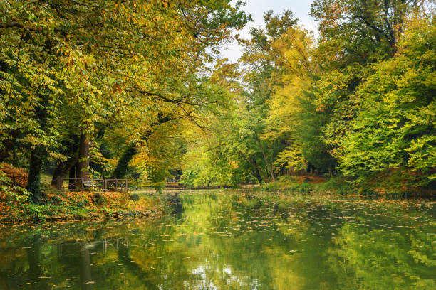 istock Monza park. Italy 1141581353