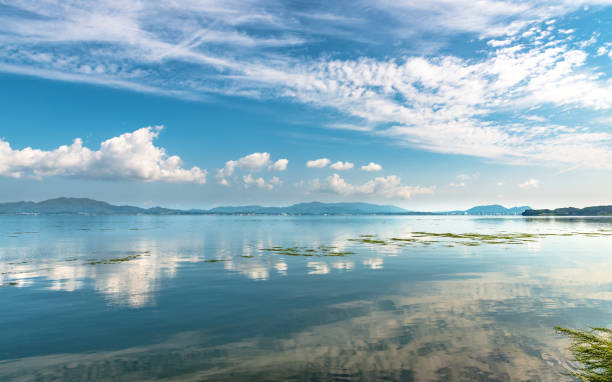 lago shinji - riparian forest foto e immagini stock