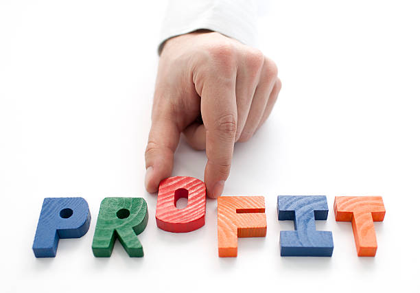 istock Hand and word Profit on white background 114158284