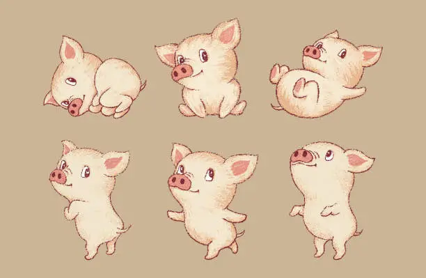 Vector illustration of Cute pigs Various poses