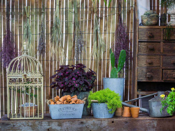 istock Equipment for vertical landscaping. 1141585805