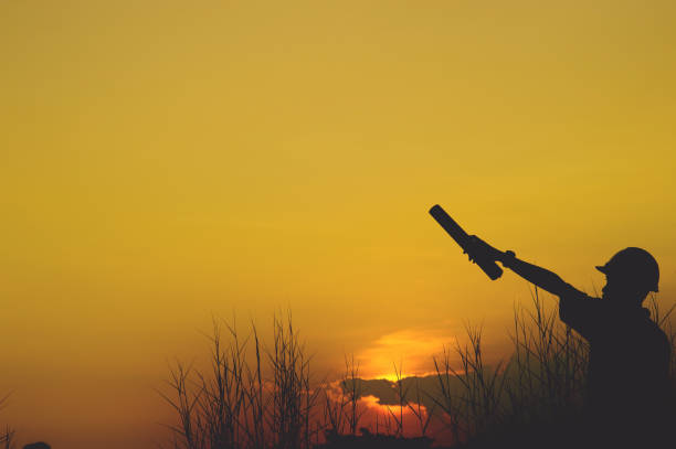 istock Silie's silhouettes show joy. And successful silhouette concepts 1141587943