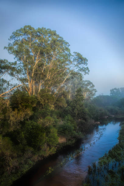 istock Genoa River on a foggy morning 1141588900