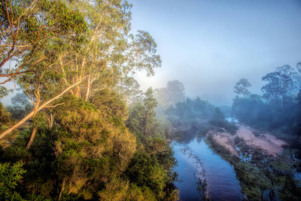 istock Genoa River on a foggy morning 1141588981