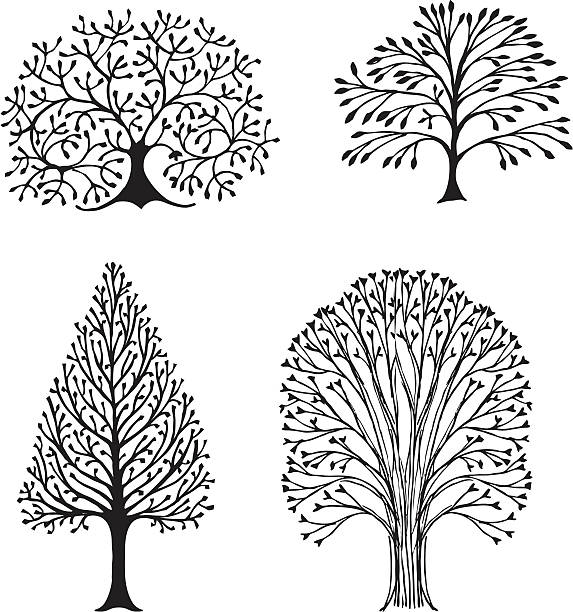 Quatre arbres - Illustration vectorielle