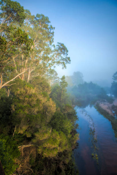 istock Genoa River on a foggy morning 1141589009