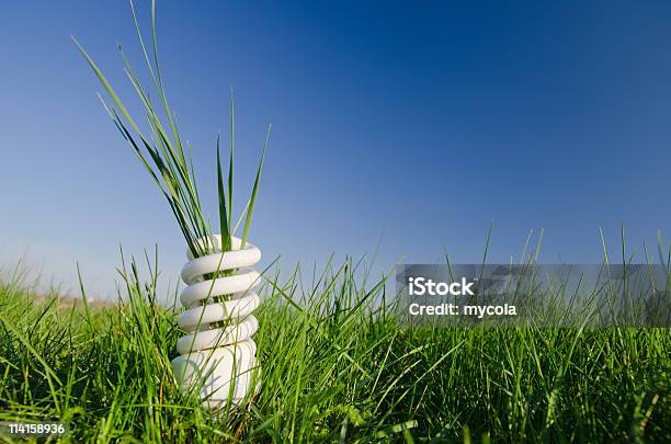 Photo libre de droit de Lampe Sur Vert Herbe banque d'images et plus d'images libres de droit de Ampoule à basse consommation - Ampoule à basse consommation, Ampoule électrique, Blanc