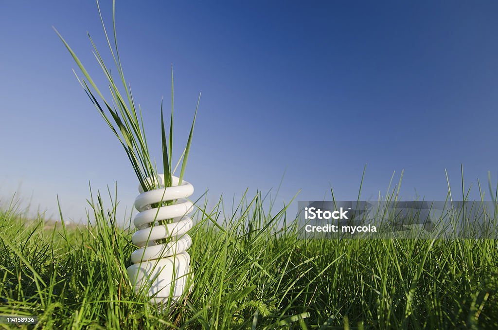 Lampada in erba verde - Foto stock royalty-free di Ambientazione esterna