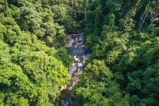 Aerial view of green Summer sunlight tropical wild nature forest and Waterfall south asia