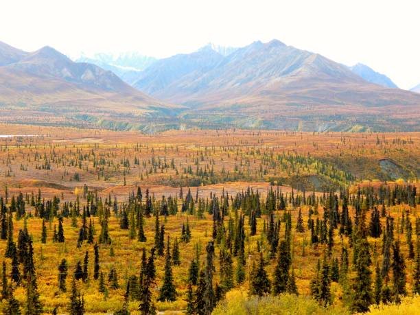 istock The Great Outdoors 1141590928