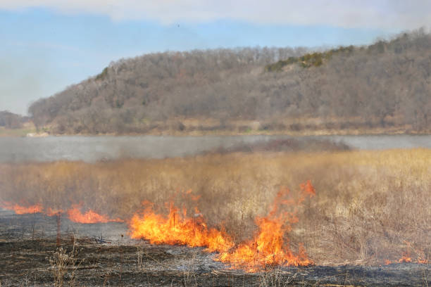 fogo, fumo e distorção na queima de pradaria prescrita - grass area field hill prairie - fotografias e filmes do acervo