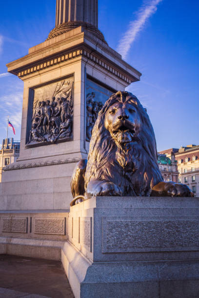 statua di leone di bronzo in piazza trafalgar - lion statue london england trafalgar square foto e immagini stock