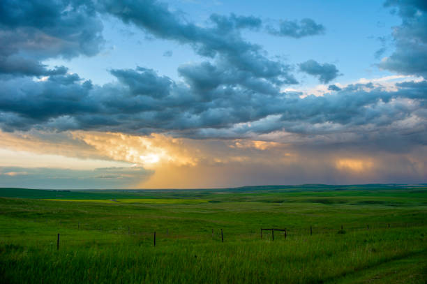 nuvole tempestose sulle praterie - storm wheat storm cloud rain foto e immagini stock