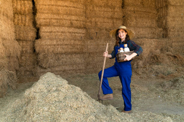 istock Farmers working with hay in barn 1141599980