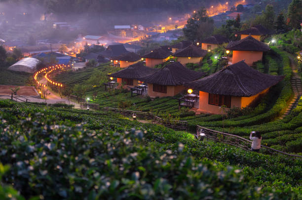 istock Sunrise at Lee wine Rak Thai. 1141601995