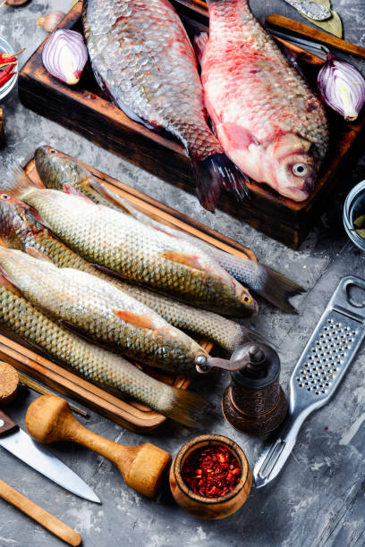 istock Variety of raw fresh fish 1141604103