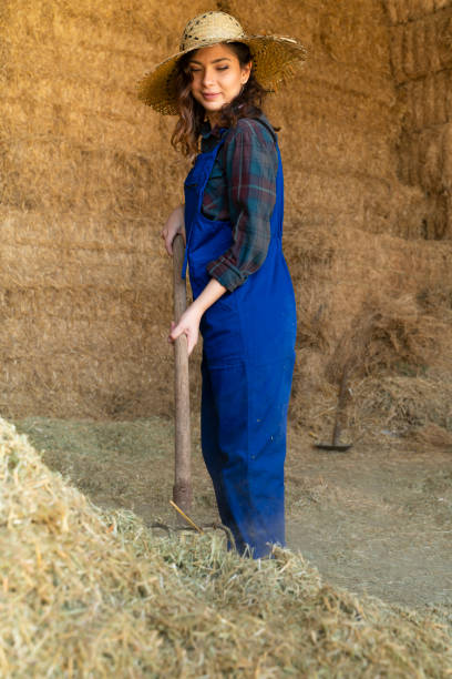 istock Farmers working with hay in barn 1141604375