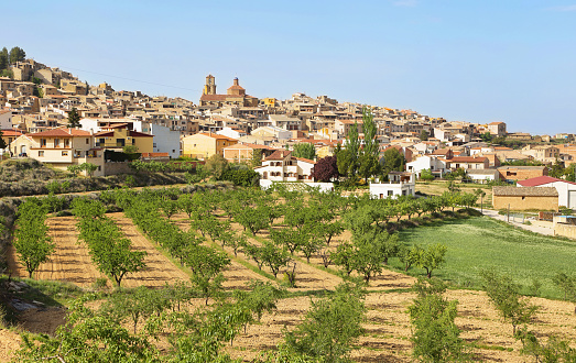 Vista general de Calaceite, Teruel, España photo