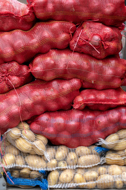 bags with onion and potato at farmers market. closeup fresh harvested potatoes and onions - onion bag netting vegetable imagens e fotografias de stock