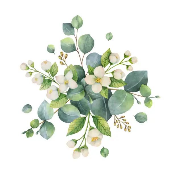 Vector illustration of Watercolor vector bouquet with green eucalyptus leaves and flowers.