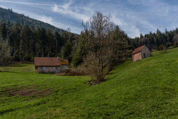 istock Old woodhouse at the hills 1141610159