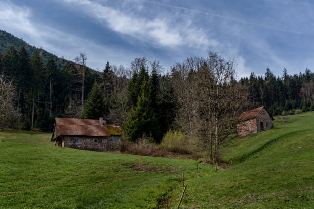 istock Old woodhouse at the hills 1141610983