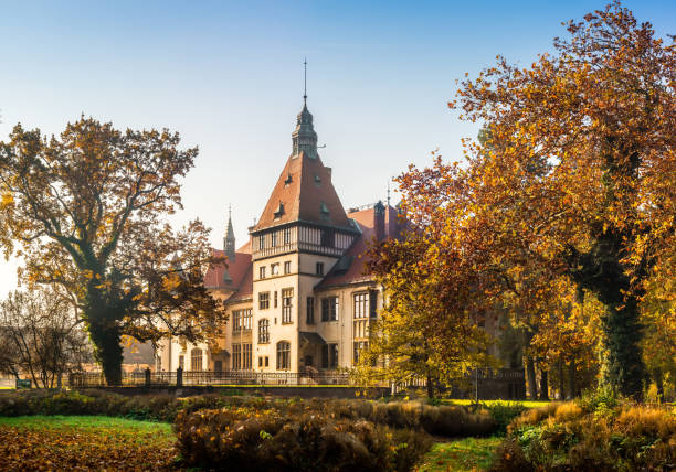 Mailath castle in beautiful autumn morning with ground covered with leaves, and trees around it. Mailath castle is one of the undiscovered treasures of Croatia.