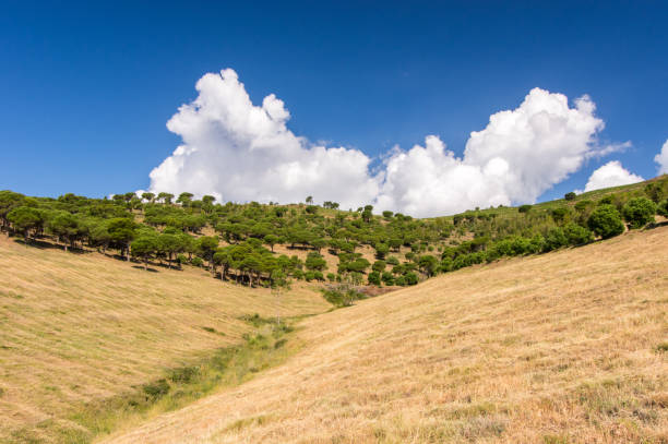 istock Symmetry of the clouds 1141617752