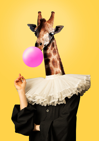 Youth is so different. Female body in vintage or renaissance black clothes with giraffe head blowing a pink bubblegum against yellow background. Modern design. Contemporary art collage.