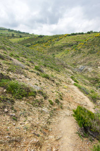 istock Beautiful hiking experience along the Mediterrean coast 1141618972
