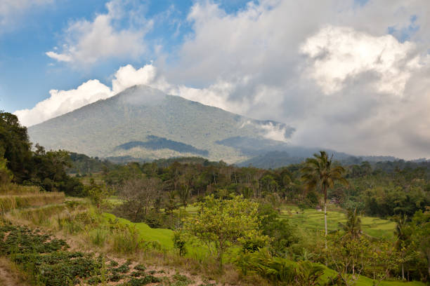 istock Landscape with agriculture and mountains. 1141621222