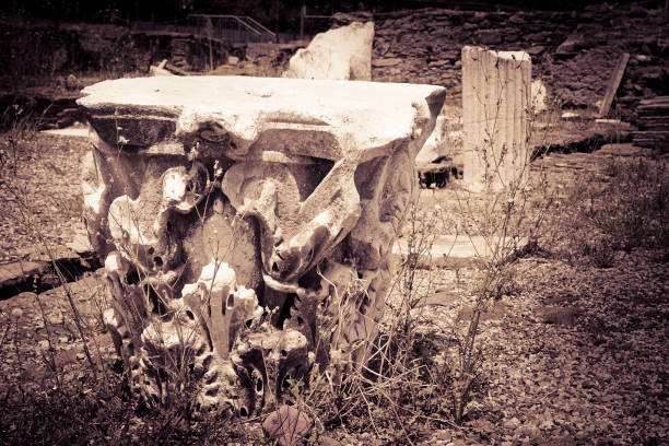 Corinthian capital in nature - toned image