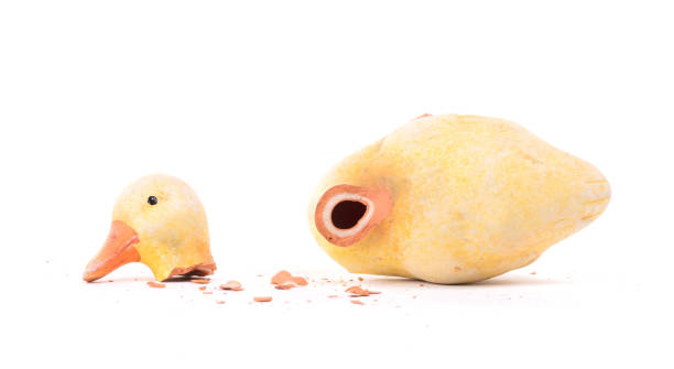 Broken statue of a duckling