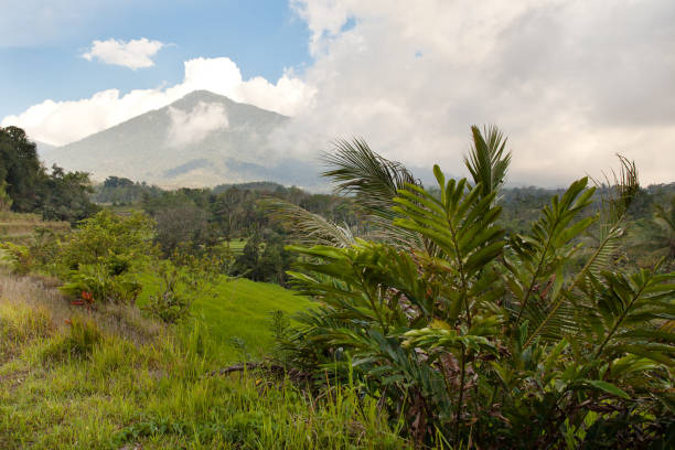 istock Landscape with a mountain peak. 1141621711