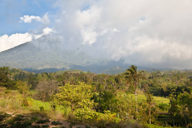 istock Landscape in Bali in the morning. 1141621713