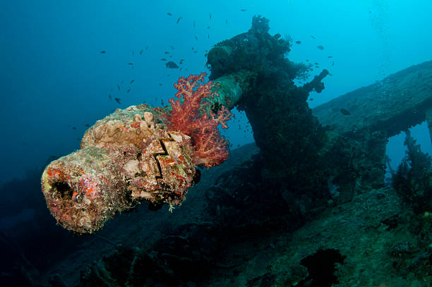 istock battle gun on underwater wreck 114162668
