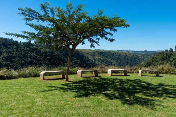 A row of concrete benches under a young acacia thorn tree overlooking the Umngeni River Valley in Howick, Natal Midlands, South Africa.