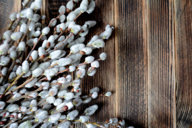 istock Willow branches on the wooden table Easter concept 1141628753