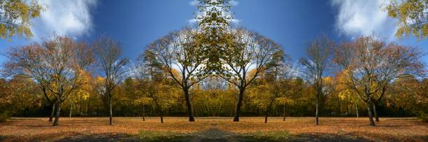 istock Autumnal Symmetrical Impressions from Berlin Spandau, Germany 1141629173