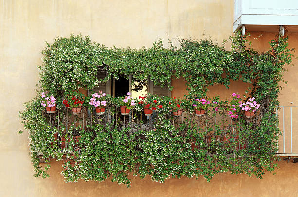 istock Balcony full of flower 114163153