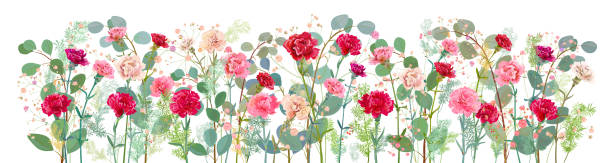 ilustrações de stock, clip art, desenhos animados e ícones de panoramic view of carnation, pink, white, red flowers, leaves eucalyptus, twigs gypsophile, asparagus, white background, illustration in watercolor style for mother's day, horizontal pattern, vector - bride backgrounds white bouquet