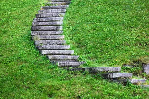 Stone stairs covered in grass leading upwards