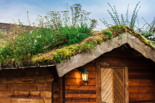 traditional Norwegian houses with a turf roof.