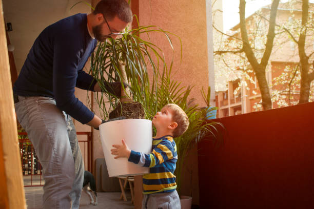 istock New Pot For Our Plant 1141639171