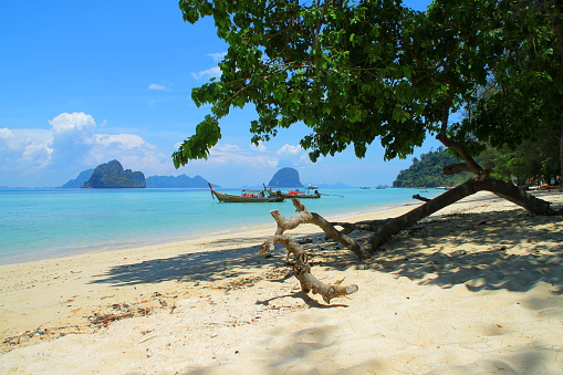 Koh Ngai (Koh Hai) is a small, paradise island on the Andaman Sea in Thailand. Shot of the quiet coastline with turquise water.